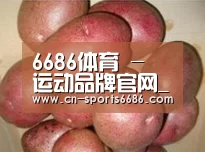 产品展示标题1