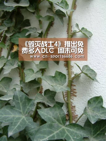《毁灭战士4》推出免费多人DLC 周末可免费试玩-6686体育(图4) 6686体育